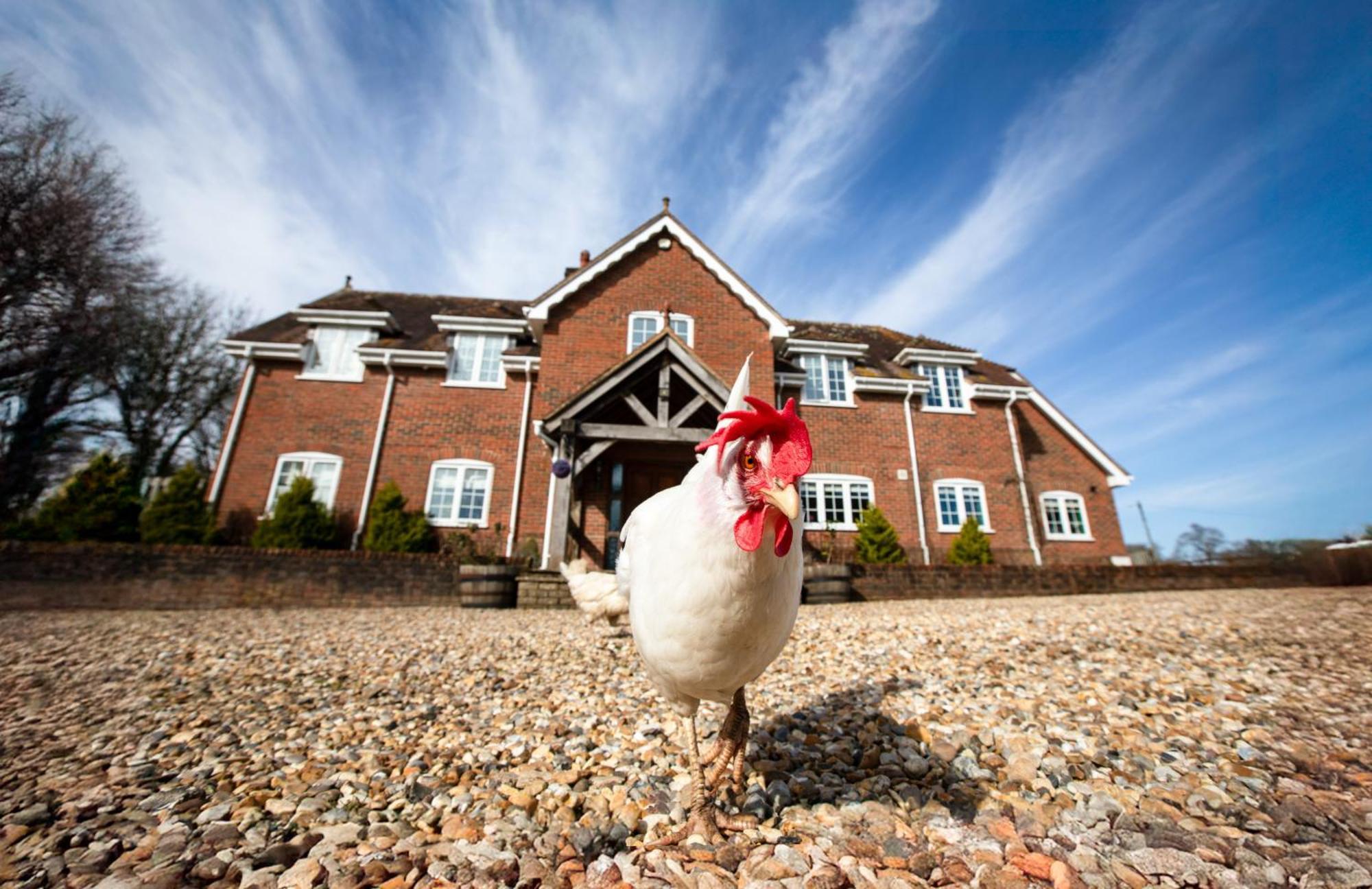 Langford Farmhouse - New Forest National Park Luxury 4Bd, Hot Tub, Cinema, 10 Acres Bartley Екстер'єр фото